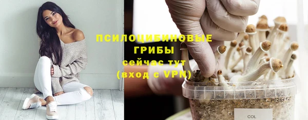 соль курить ск Алексеевка