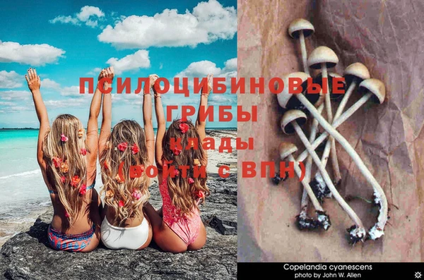 синтетический гашиш Абдулино