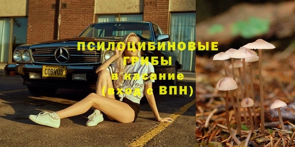 соль ск Алзамай