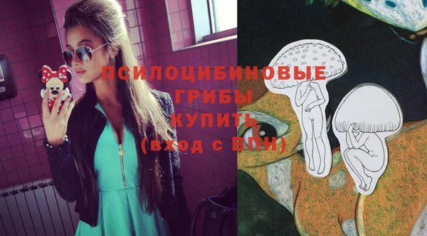 герыч Алексин